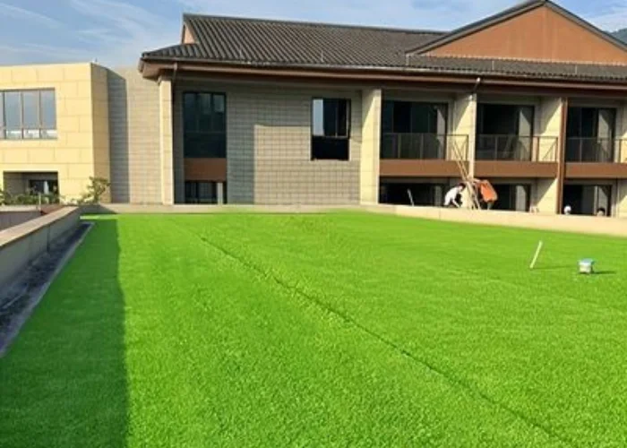 Cheap artificial grass carpet in Ras Al Khaimah