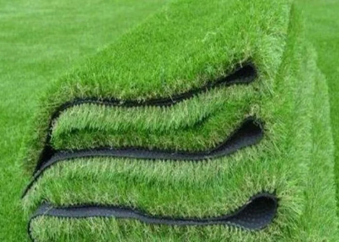 grass carpet in Ras Al Khaimah