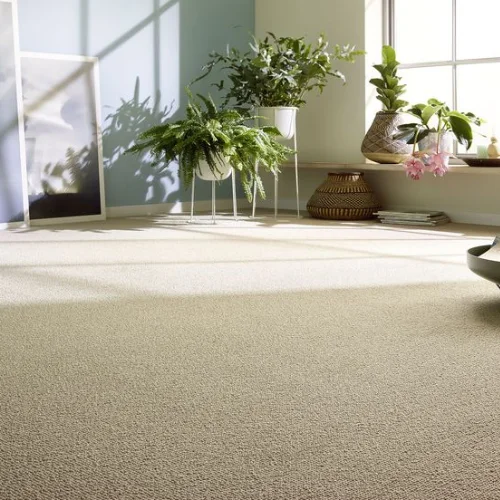 You Need About Best Wall Wall Carpets