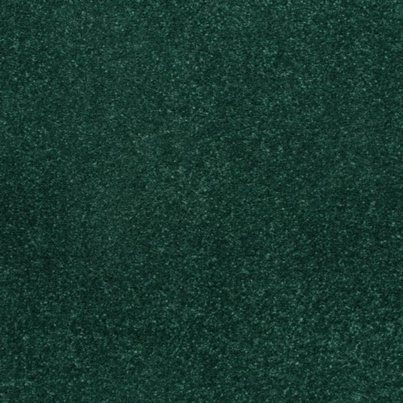 Stainfree Caress Carpet by Abingdon UAE