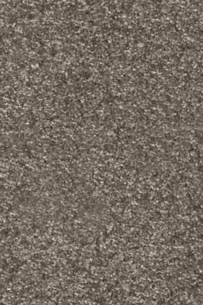 Attic Dorado Invictus Gaia Carpet