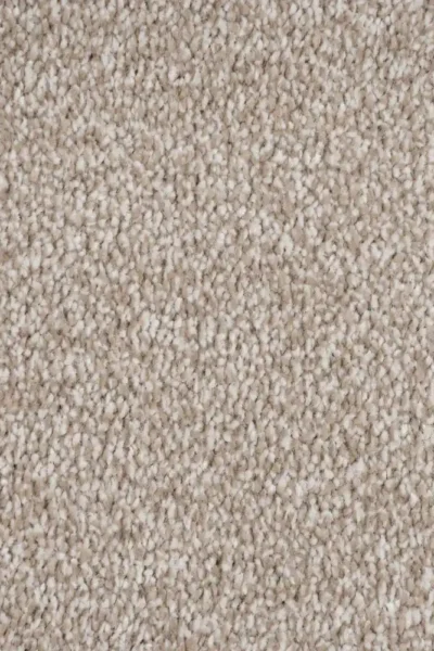 Beige Carpet for Bedroom Floor