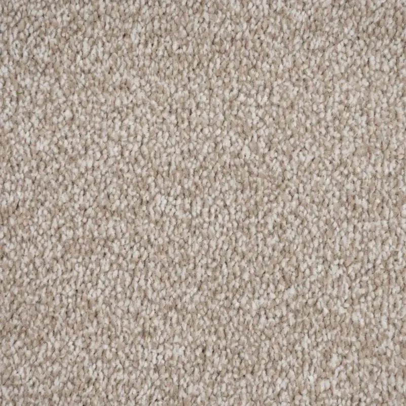 Beige Carpet for Bedroom Floor