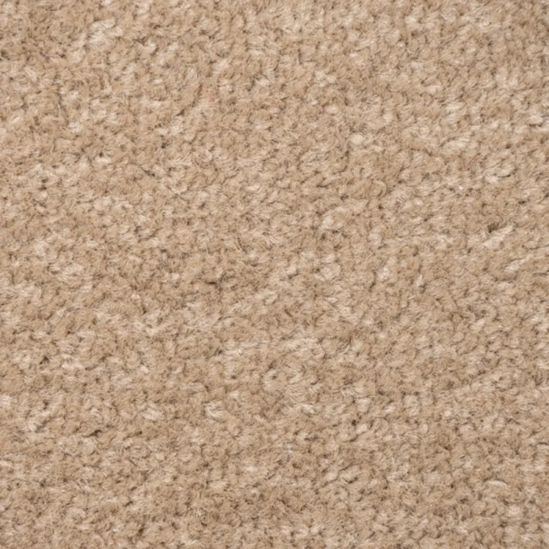 Beige Carpet Sample Close-up