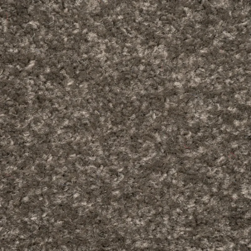 Brown Carpet in Bedroom Area