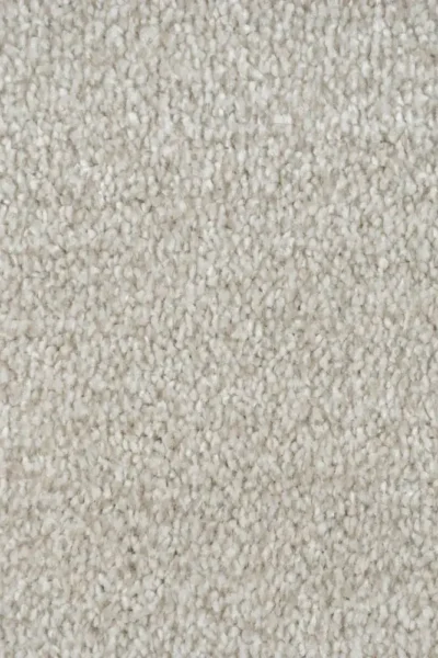 Cream Carpet in Bedroom Area