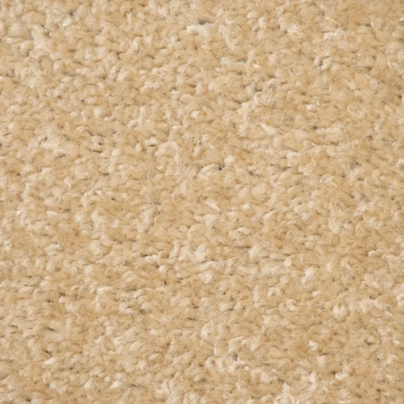 Golden Carpet in Bedroom Area