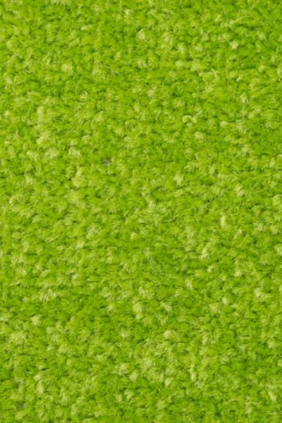 Green Carpet in Bedroom Area