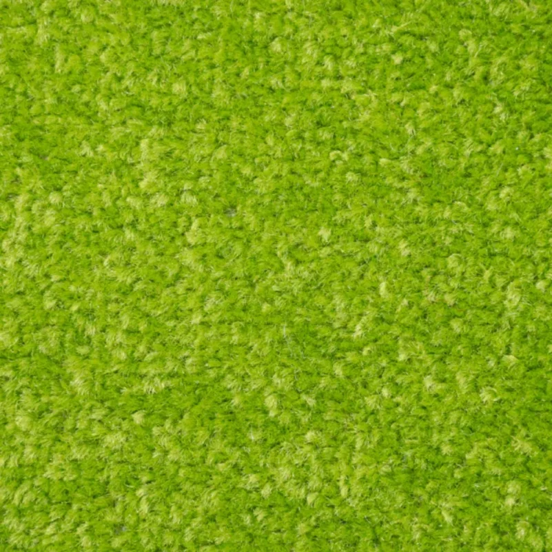 Green Carpet in Bedroom Area