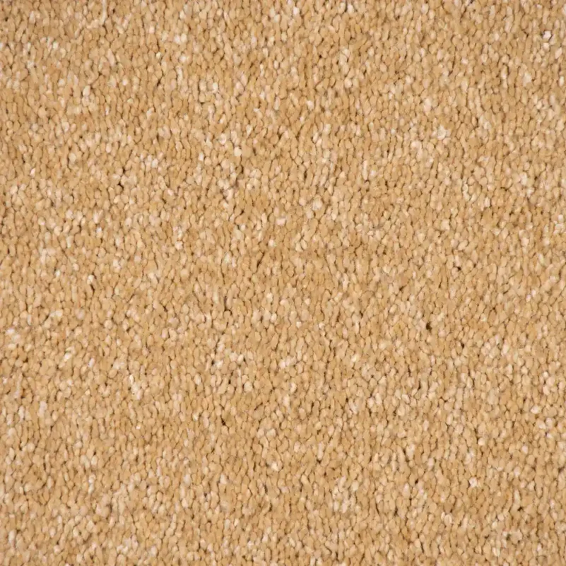 Sirius 70oz carpet in bedroom