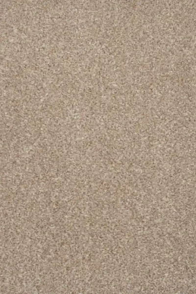 Twist pile beige carpet for living room