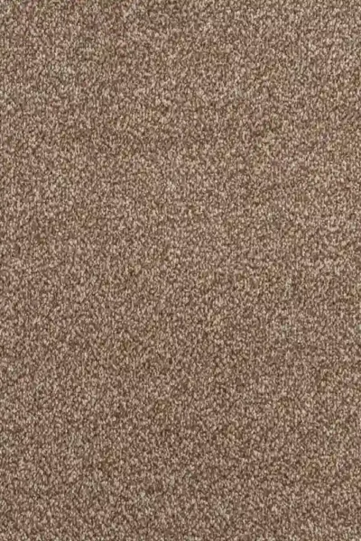 Plush Brown Polaris Carpet Texture