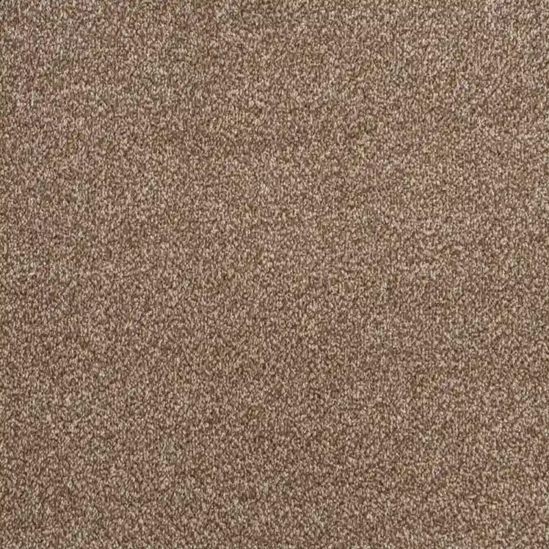 Plush Brown Polaris Carpet Texture