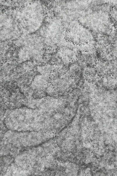 Calm Grey 94 California Dreams Carpet