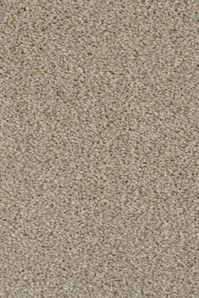 Cassius 70oz Invictus Carpet image 3