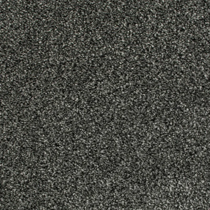Cassius 70oz Invictus Carpet image 6