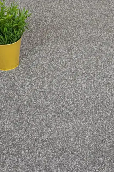 Luxury Versailles Twist Carpet View