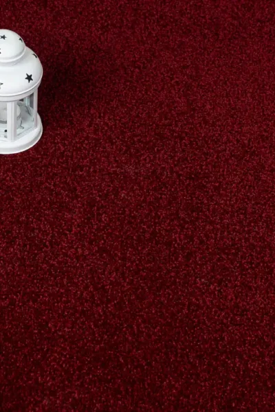 Apollo Plus carpet texture close-up