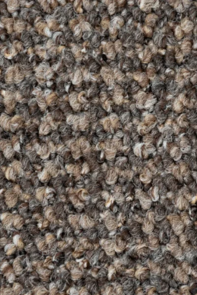 Brown Carpet Bedroom Flooring