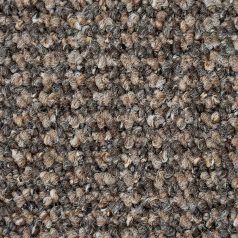 Brown Carpet Bedroom Flooring