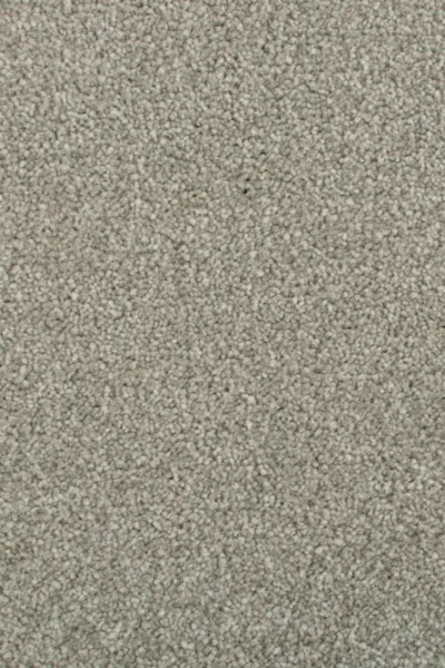 Duante Darius Invictus Carpet