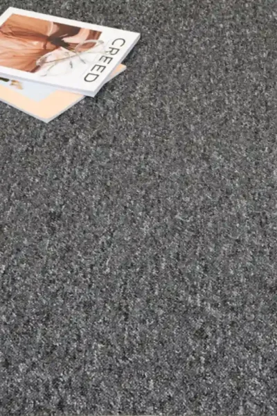 Soft Utah Loop Carpet Texture