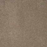 Wall to wall Saxony carpet