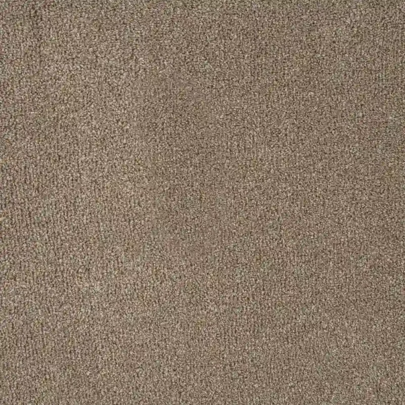 Wall to wall Saxony carpet