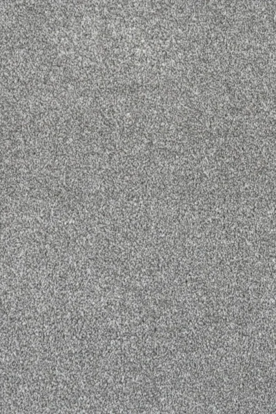 Plush Grey Carpet Texture