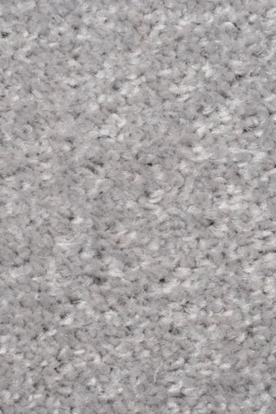 Grey Carpet in Living Room