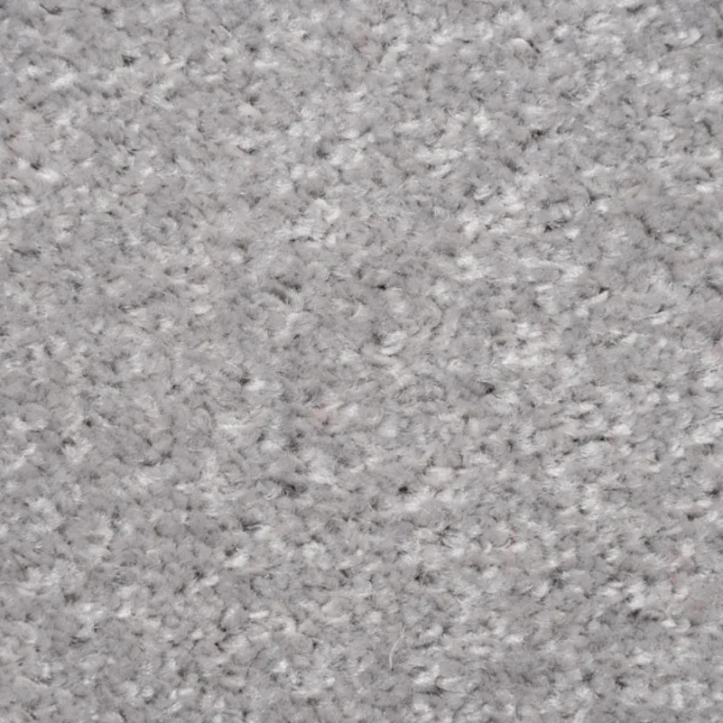 Grey Carpet in Living Room