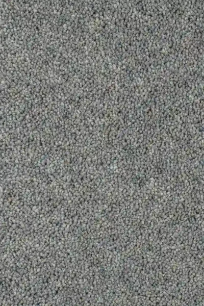 Dove Grey carpet in living room