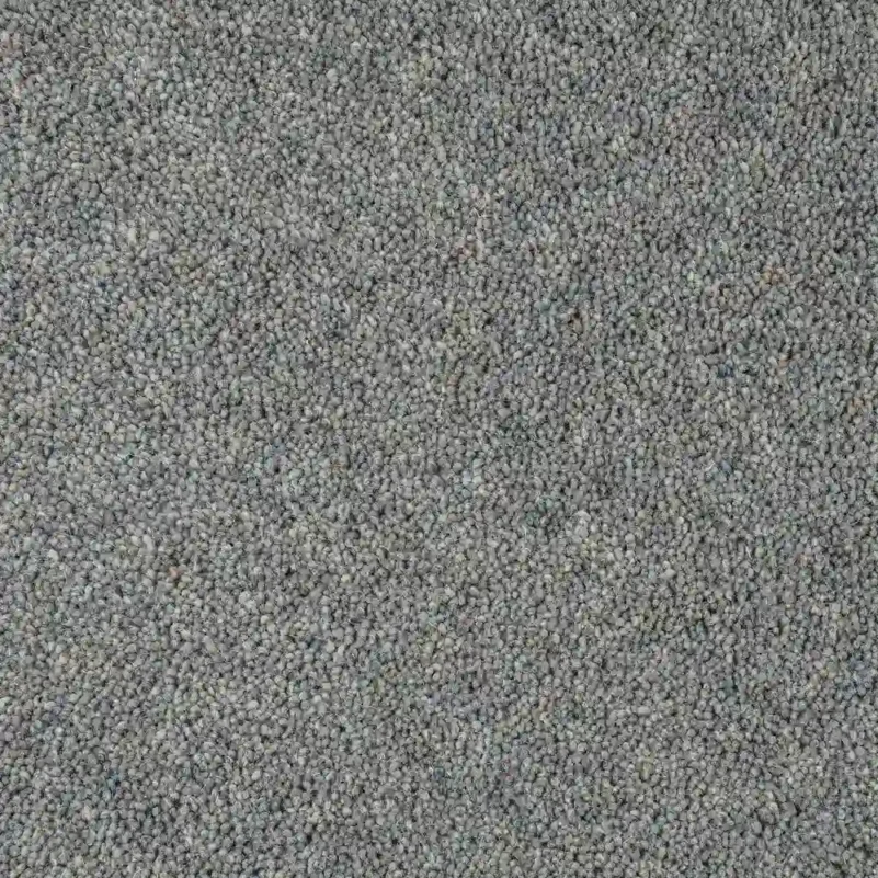 Dove Grey carpet in living room