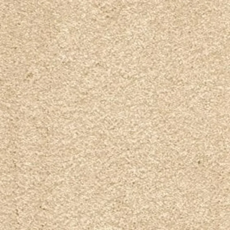 Close-up of cream carpet texture