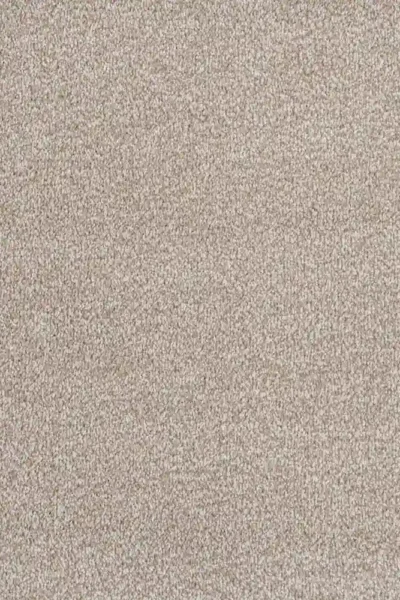 Beige Saxony Carpet Texture View