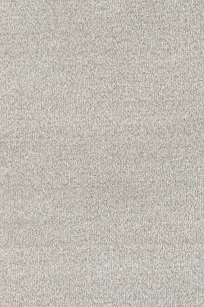 Cream Saxony Carpet Texture View
