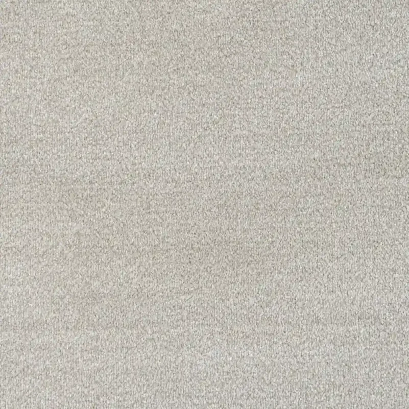 Cream Saxony Carpet Texture View