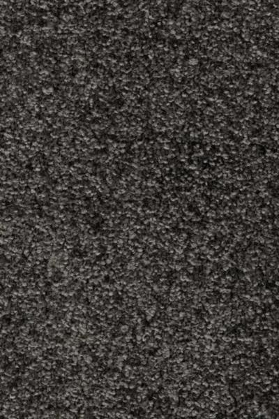 Raven Dorado Invictus Gaia Carpet