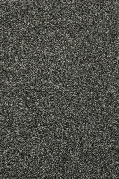 Sesame Darius Invictus Carpet