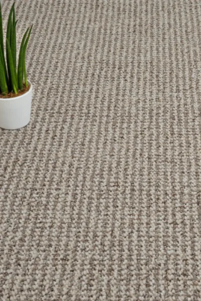 Beige Feltback Carpet Texture