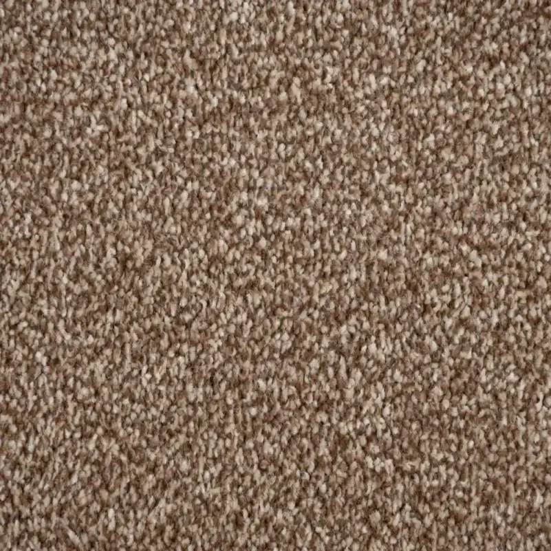 Luxury Saxony Carpet in Brown