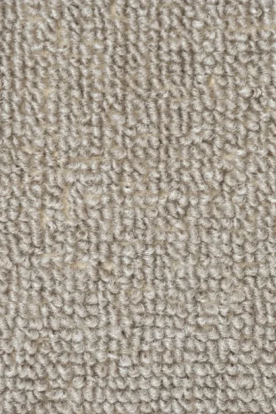 Beige Carpet in Bedroom