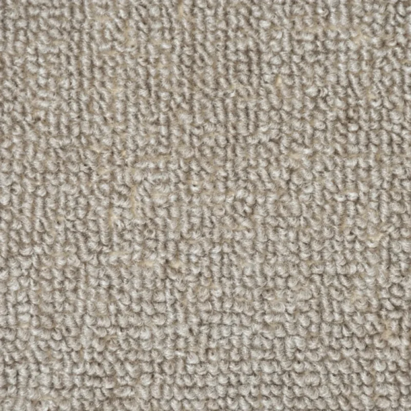 Beige Carpet in Bedroom