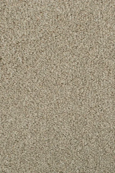 Temple Darius Invictus Carpet