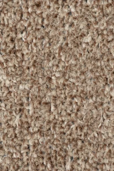 Textured brown beige carpet flooring