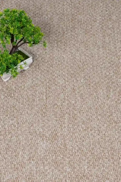 Tropic Loop Carpet for Floor