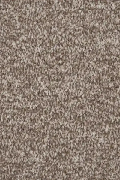Delphi Twist carpet in hallway view