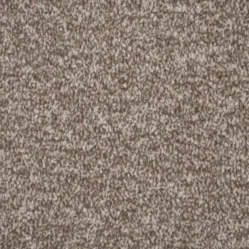 Delphi Twist carpet in hallway view