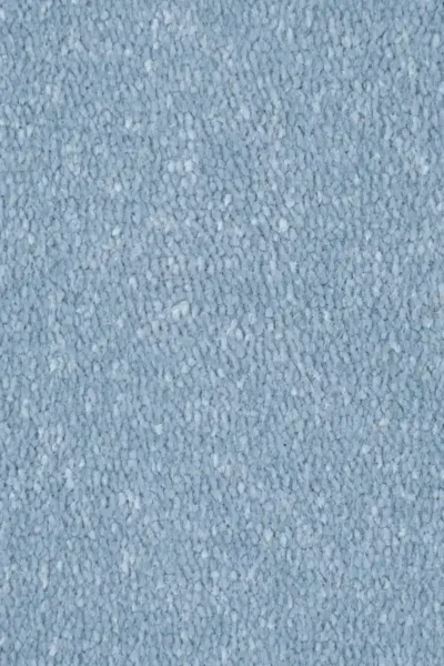 Vista carpet in bedroom interior