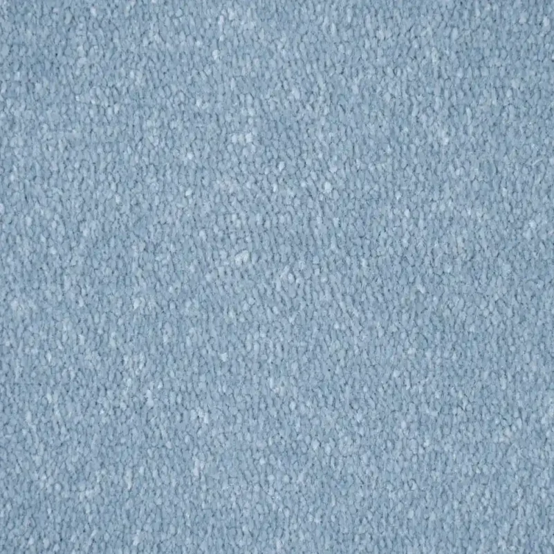 Vista carpet in bedroom interior